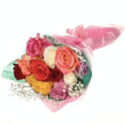 12 Mixed Colour Roses